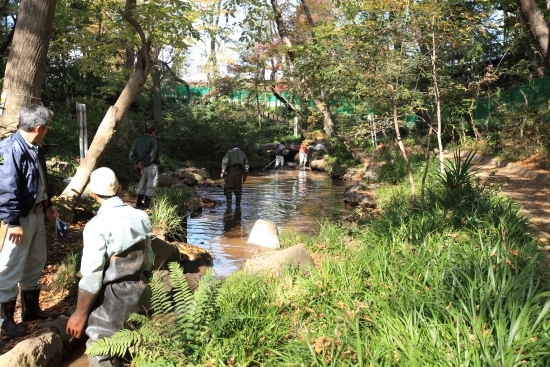 上の池、中の池の清掃活動