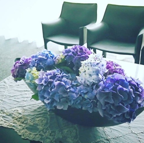 「紫陽花の季節」