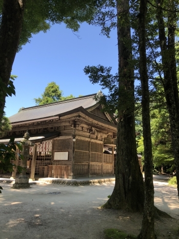 「７月  足もみ同好会 開催   参加者募集！」