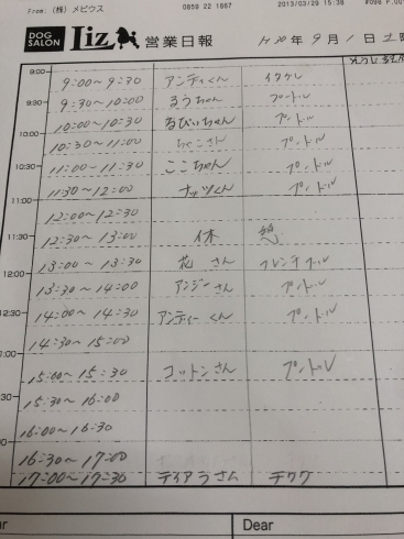 「大好評のマジックゼオ！歯石除去」