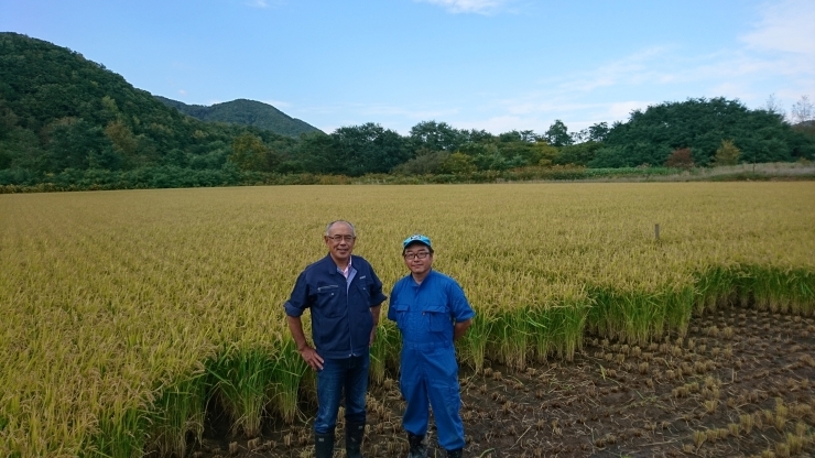 「低温もみ貯蔵のお米、まもなく入荷予定です。」