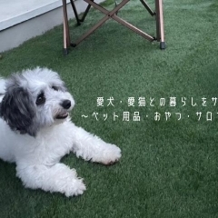 舞鶴|愛犬・愛猫との暮らしを応援する特集★