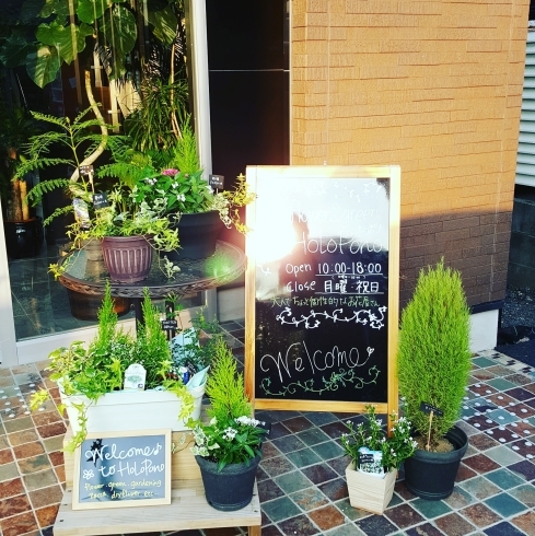 「涼しげなグリーンで寄せ植え♪」