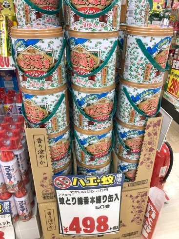 「夏の必需品！蚊とり線香50巻が498円＋税！」