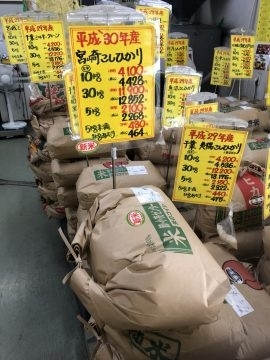 「平成30年度【新米】宮崎こしひかり入荷しました！」