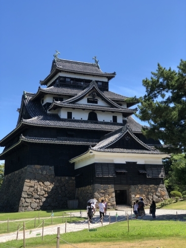 「サマーキャンペーンはじまるよー♪」