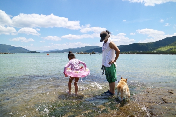 「海辺のカイロプラクティック✨☀番外編☀」