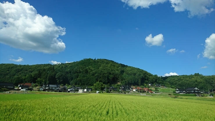 「夏到来☀」