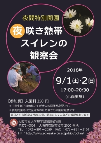 「【植物園】夜間特別開園　夜咲き熱帯スイレンの観察会」