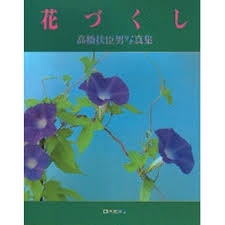 「『日本の四季写真展～夏～（浦安市）』」