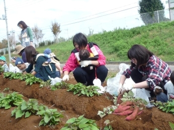 どうやって食べてます？<br>うちはてんぷらかな・・