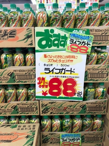 「チェリオ　ライフガードが88円＋税」