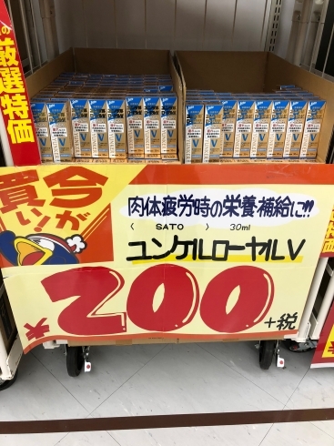 「【今が買い！】ユンケルローヤルVが200円＋税」
