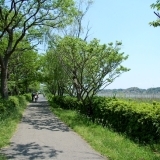 我孫子市　手賀沼散策と水生植物園