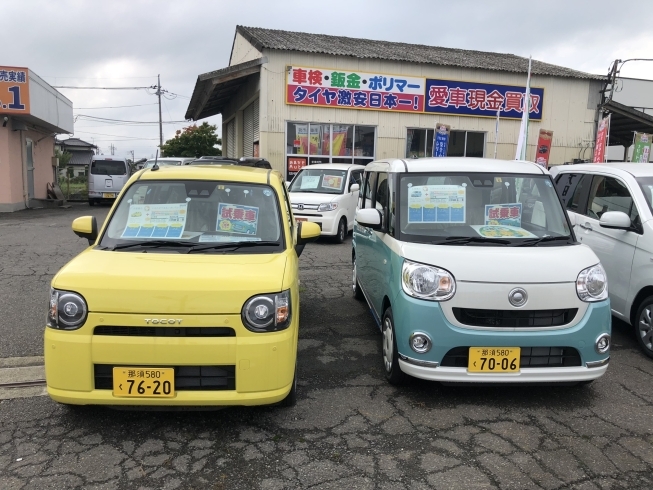 「試乗車を沢山ご用意してます」