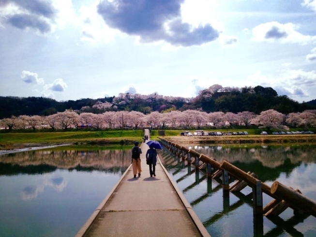 「朝は来る」