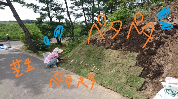 「★斜面の芝張り★出雲市」