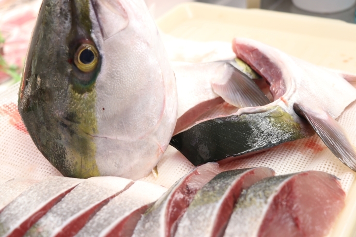 「八千代市、佐倉市の鮮魚店  　勝田台から徒歩10分　 魚や山粋（ヤマスイ）千葉　天然ブリ」