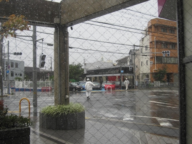 「凄い台風が来そうです。被害の少ないことをお祈りいたします。」