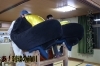 新居浜太鼓台 くくり