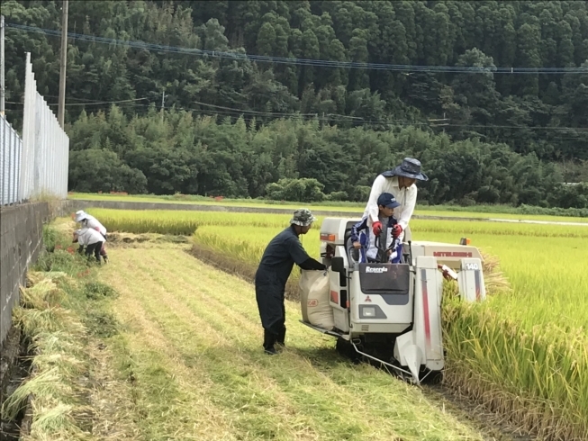 「台風前に稲刈りしました！わーい、新米だ！」