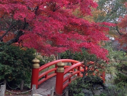 「紅葉楽しむ完歩ツアー」