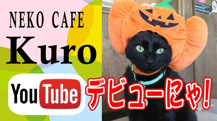 「猫カフェKuro♪クロ店長からのお知らせ２！」