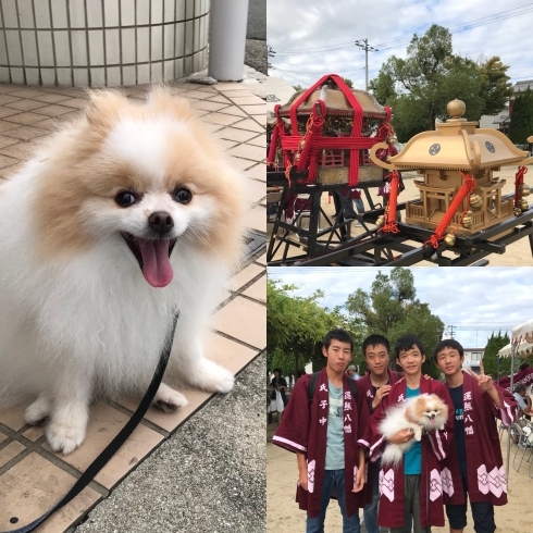 「新居浜太鼓祭りを英語でどう言うか？ 秋期生徒募集！」