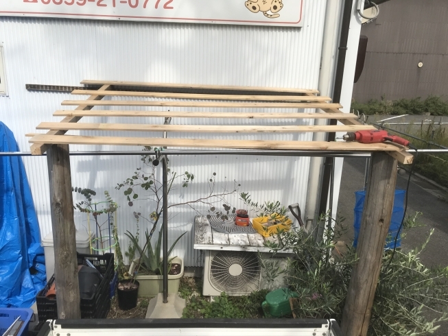 「昨日暇だったので デタラメ自転車小屋作りました（笑）」