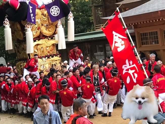 「太鼓祭りは終わった！ を英語で？ 秋期生徒募集！」