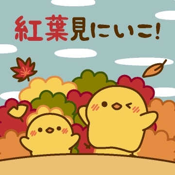 「食欲の秋、紅葉真っ盛り。」