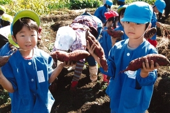 「みて！こんなに大きいよ」
沢山のお芋にニコニコです。「入善町立ひばり野保育所」