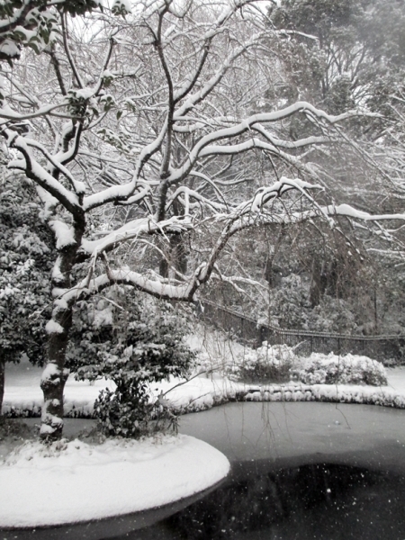 日本絵画の世界が開けてました<br>雪の降りつけるなか　雪中行軍！<br>白と黒の水墨画の風景が目の前に