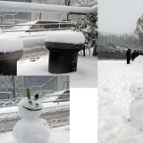 【No.146】　大雪は楽しい！　戸山公園周辺にて　（2）