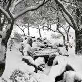 【No.145】　大雪は楽しい！　戸山公園周辺にて　（1）