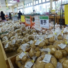 JAほこた　なだろう　「鉾田市産野菜の詰合わせセット」　ほか