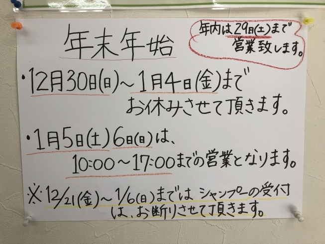 「花ちゃんNEWS  ヘナ染め 求人募集」