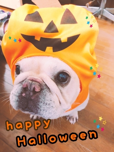 「happy  Halloween〜部長…かぼちゃオバケになる！の巻〜」