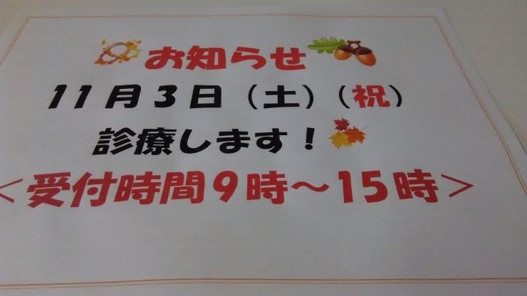 「11月3日、診療します❗」