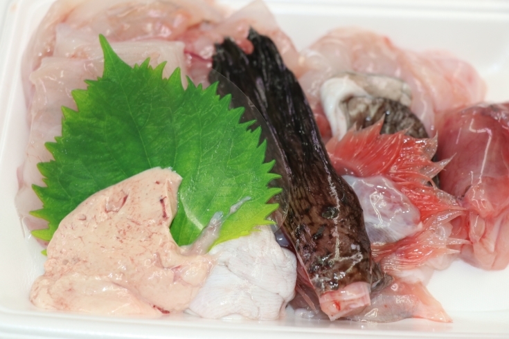 「八千代市、佐倉市の鮮魚店  　勝田台から徒歩10分　 魚や山粋（ヤマスイ)    鮟鱇【アンコウ】」