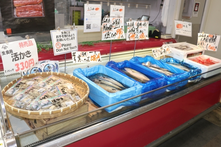 「八千代市、佐倉市の鮮魚店  　勝田台から徒歩10分　 魚や山粋（ヤマスイ)    本日の地魚」