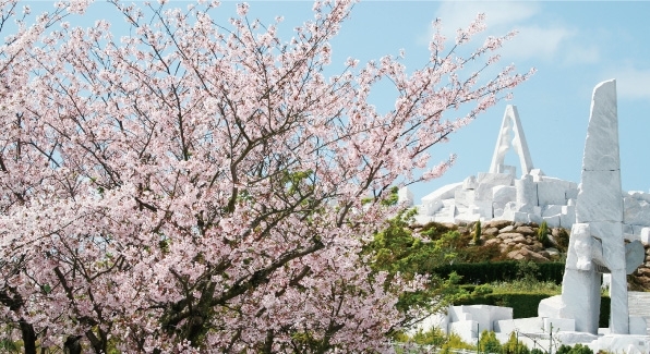 広さ5,000平方メートルにもおよぶ白い大理石の庭園「未来心の丘（みらいしんのおか）」と桜の圧巻のコラボレーション！！