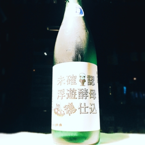 「希少限定酒入荷⭐️」