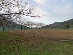 「音沢地区公園」地域にあるみんなの遊び場！　遊具も充実してますよ。