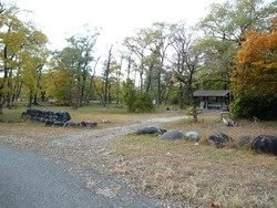 「墓ノ木自然公園」宇奈月の「中ノ口緑地公園」と隣接する、自然豊かな公園です