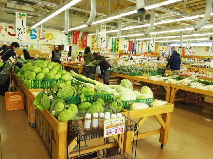 ところ狭しと新鮮な野菜や果物が並ぶ