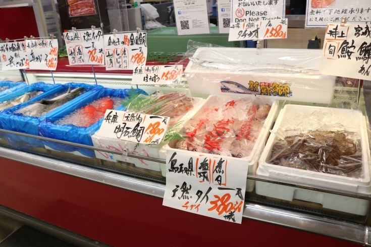 「八千代市、佐倉市の鮮魚店  　勝田台から徒歩10分　 魚や山粋（ヤマスイ)    地魚揃ってます。」