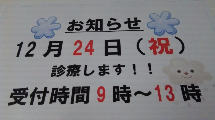 「12月24日診療します❗」