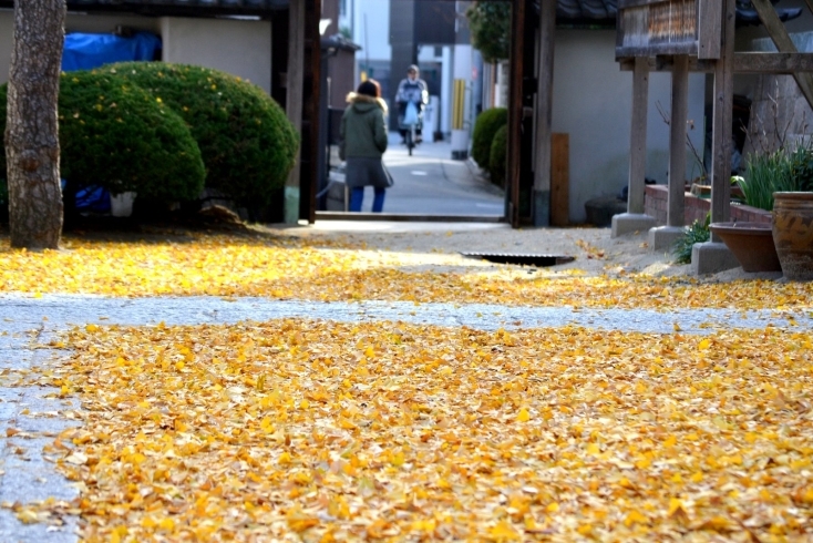 「2019年も初詣は地元もりかどの寺社へLET'S GO！！！」