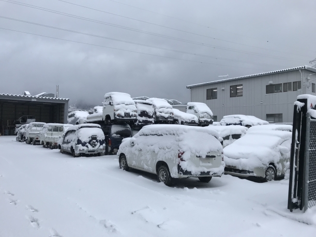 「1月のJARA全国一斉清掃！は雪の為お休みします！」